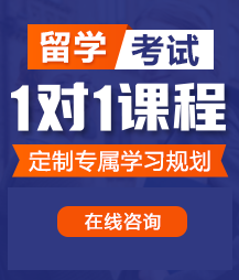 好爽好骚好爽小逼喷了网站留学考试一对一精品课